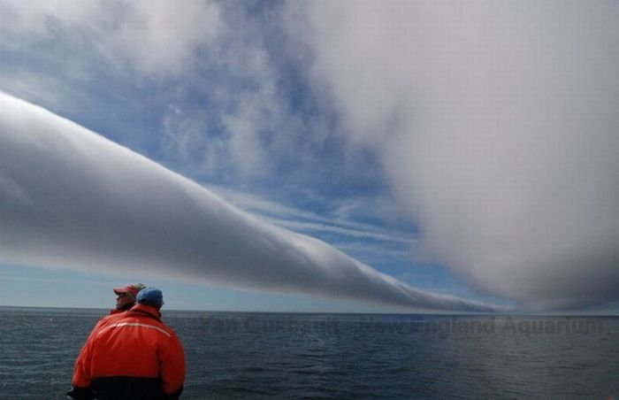 morning glory clouds