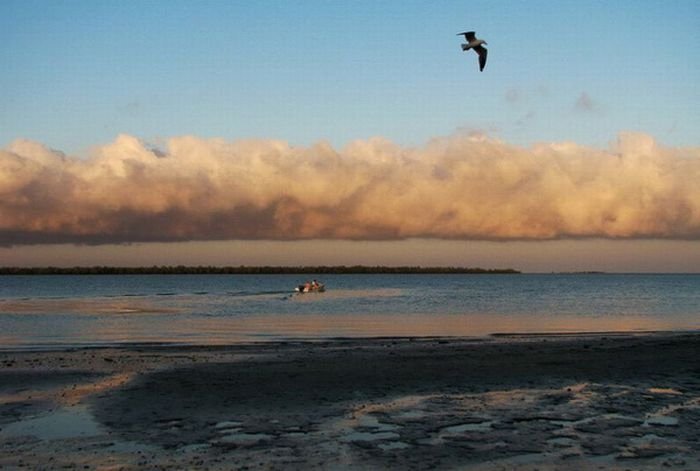 morning glory clouds