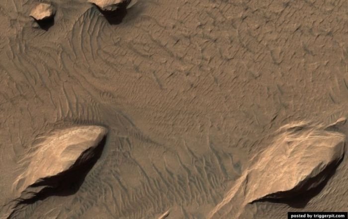 mars surface