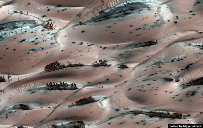 mars surface