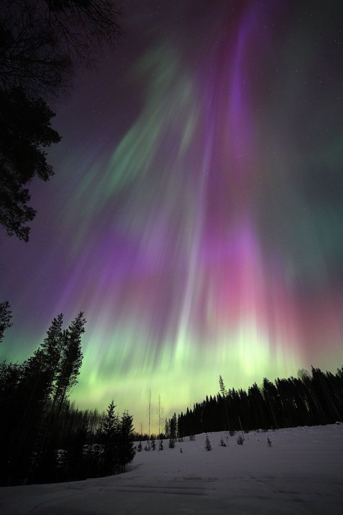 aurora, amazing northern lights