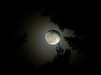 TopRq.com search results: moon photos