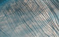 TopRq.com search results: mars surface