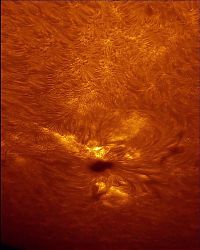 Earth & Universe: sun photograph