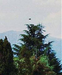 TopRq.com search results: UFO around the world