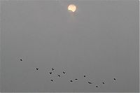 TopRq.com search results: solar eclipse