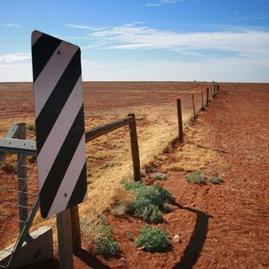 The longest fence in the world, 5614 km, Australia