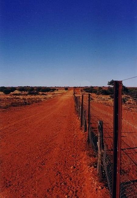 The longest fence in the world, 5614 km, Australia