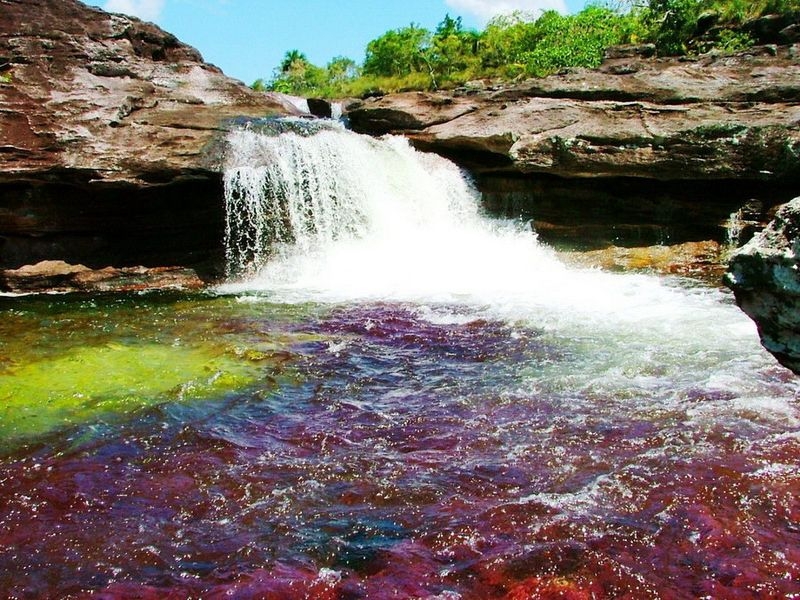 Caño Cristales, The River of Five Colors, Serrania de la Macarena, Meta, Colombia