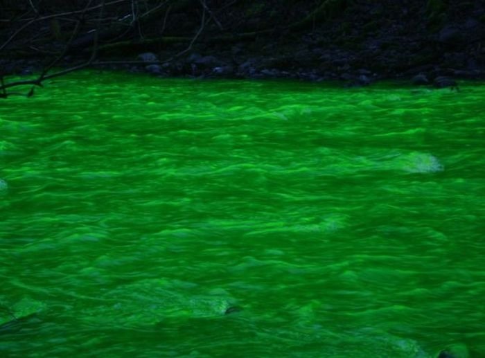 Fluorescein dumped into Goldstream River, British Columbia, Canada