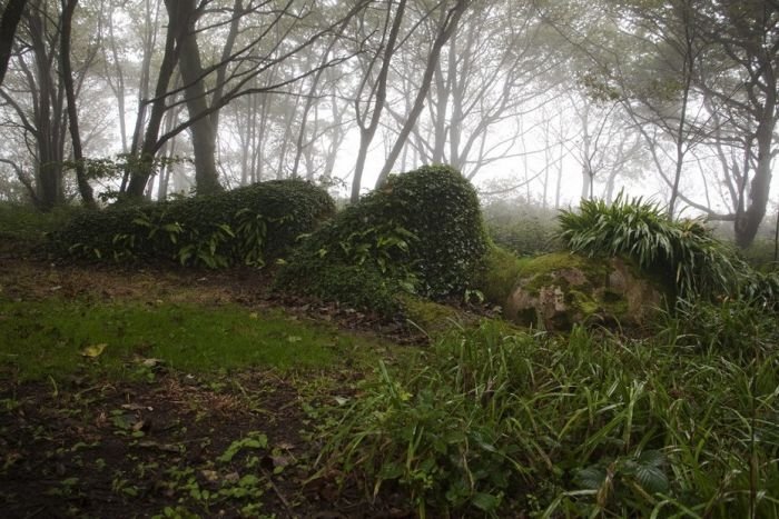 The Lost Gardens of Heligan, Mevagissey, United Kingdom