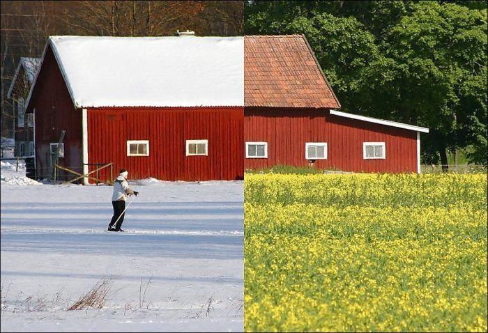 summer vs. winter photo