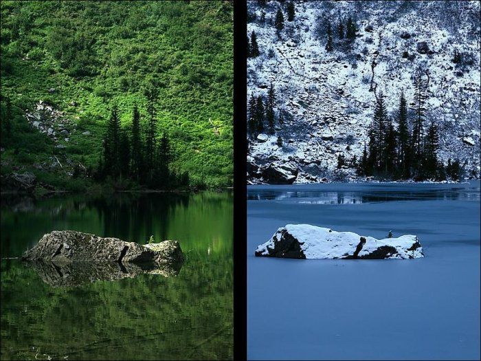 summer vs. winter photo