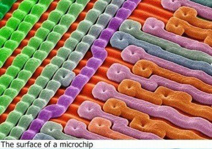 world under a microscope