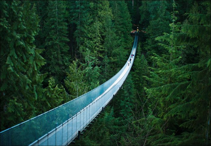 Capilano Suspension Bridge, British Columbia, Canada
