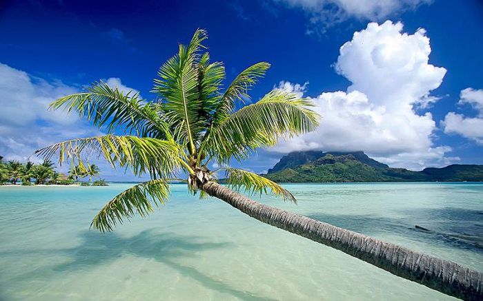 Bora Bora, Society Islands, French Polynesia, Pacific Ocean