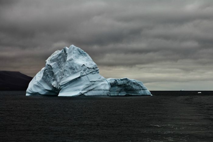 The Last Iceberg by Camille Seaman