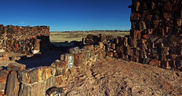 Petrified Forest National Park, Navajo, Apache, Arizona, United States