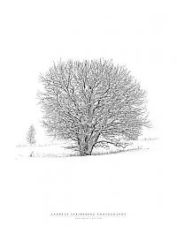 World & Travel: nature photographs (c) andreas stridsberq