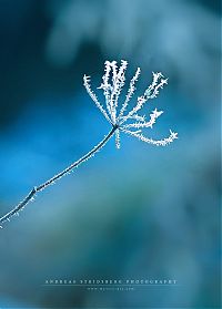 World & Travel: nature photographs (c) andreas stridsberq