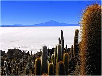 TopRq.com search results: Plains of the Altiplano, Bolivia, Spanish Salar de Uyuni mirror