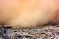 TopRq.com search results: Sandstorm in Saudi Arabia