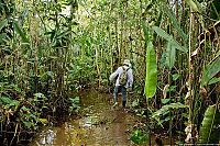 TopRq.com search results: survival course in the jungle