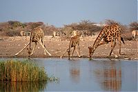 World & Travel: africa