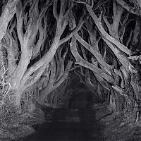 World & Travel: roads around the world