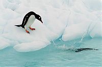 World & Travel: Antarctic Plateau, Antarctica