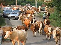 TopRq.com search results: Traffic jam in the world