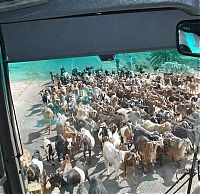 TopRq.com search results: Traffic jam in the world