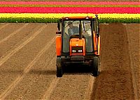 World & Travel: Tulip fields, Keukenhof, The Netherlands