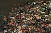 TopRq.com search results: Crisis in Mumbai, Western India