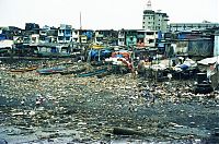 TopRq.com search results: Crisis in Mumbai, Western India
