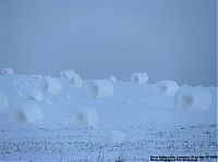 TopRq.com search results: Snow rolls, unique natural phenomenon