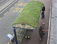 World & Travel: public transport stops around the world