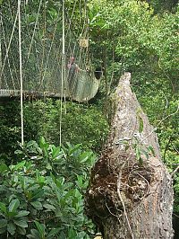 World & Travel: dangerous bridges
