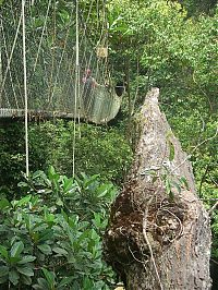 World & Travel: dangerous bridges