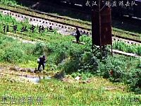 TopRq.com search results: The coal mafia in China