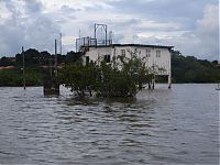 World & Travel: Floods leave 186000 homeless, Brazil