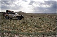 TopRq.com search results: Trip to West Kazakhstan, Mangyshlak Peninsula