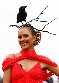 World & Travel: world photo news