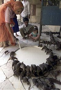 World & Travel: Life in India