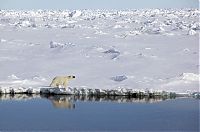 World & Travel: Greenland