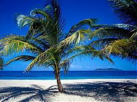 TopRq.com search results: Caribbean islands, Gulf of Mexico, Caribbean Sea, Atlantic Ocean