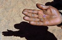 World & Travel: Extraction of sapphires, Madagascar