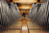 World & Travel: largest organ in the shopping center