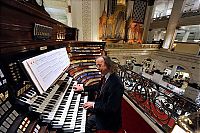 World & Travel: largest organ in the shopping center