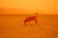 World & Travel: Storm in Sydney, September 2009, Australia